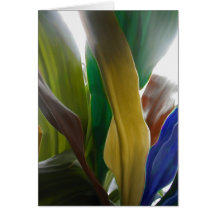 window plant card