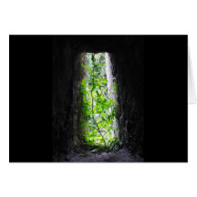 Window Plant Greeting Card