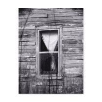 Window Post Card