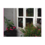 Window/ Postcard