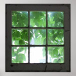 Window Poster