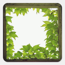 Window Sticker