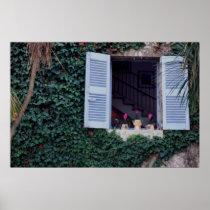 Window with flowers, Mougins, France Poster