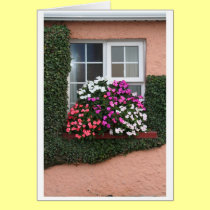 Window with Impatiens cards