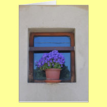 Windowledge with Potted Flowers cards