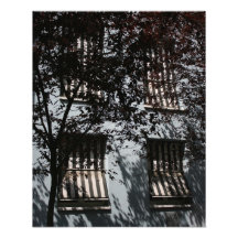 Windows, Basel, Switzerland Photographic Print