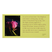 windows cats flowers 018.JPG, So we do not loos... Personalized Photo Card