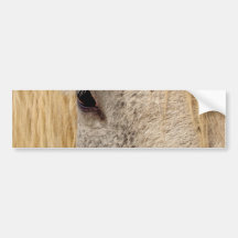Windows to the Soul Bumper Sticker