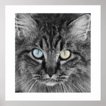 Windows To The Soul Print