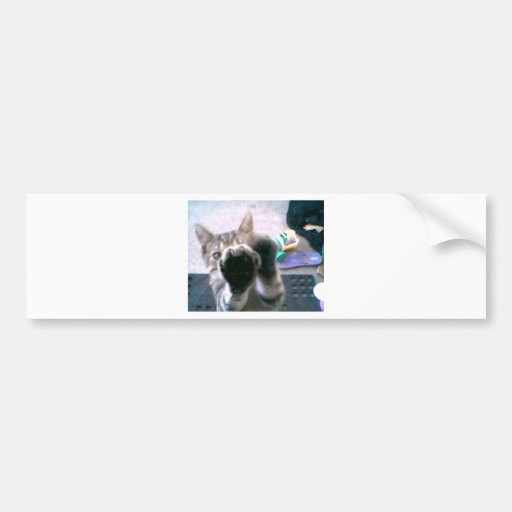 windowwasher bumper sticker