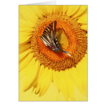 Windswept Butterfly Greeting Card