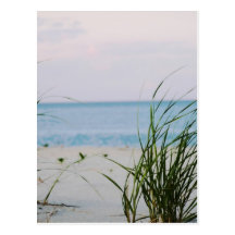 Windswept Post Cards