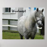 Windswept Posters