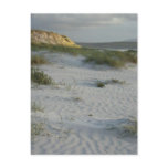 Windswept Sandy Beach