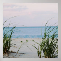 Windswept Shore Poster