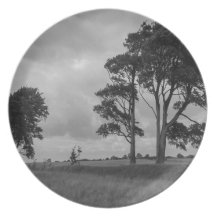 Windswept Trees Dinner Plates