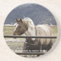Windy In Mane Drink Coaster