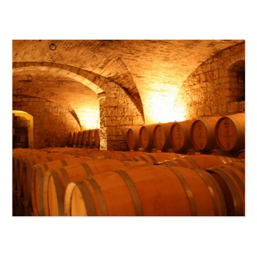 Wine Barrels Postcard