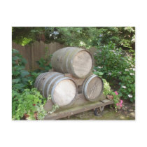 Wine Barrels - Wine Country Postcards
