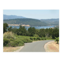 Wine Country Postcard