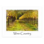 Wine Country  - Vineyard in Autumn Post Card