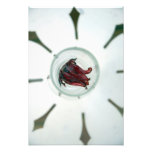 Wine glass with flower petals inside photo print