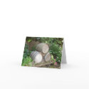 Wine Party Invitations cards