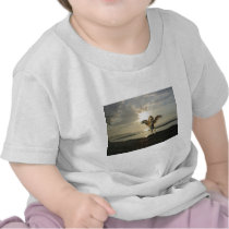 Winged Lion Baby T-Shirt