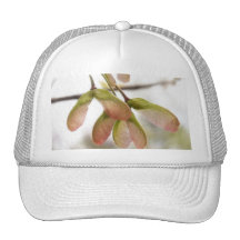Winged Maple Seed Pods Hat