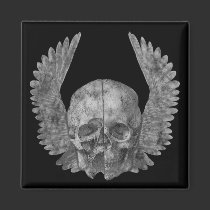 Winged Skull magnets