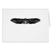 wings cards