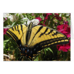 Wings of Beauty (11) Greeting Card