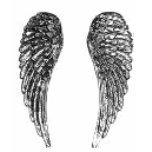 wings t-shirts