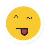 Wink STO Round Sticker