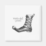 Winkle Shell (picked) Magnet