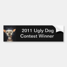 Winner of the Ugly Dog Contest 2011 Bumper Sticker