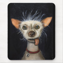 Winner of the Ugly Dog Contest 2011 Mousepads