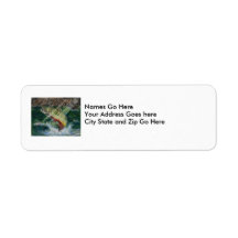 Winning Art By D. Boller Grade 7 Return Address Labels