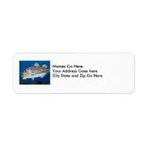 Winning Art By K. Wheeler Grade 6 Return Address Labels