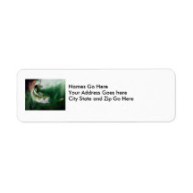 Winning Art By X. Nasa Grade 4 Return Address Labels