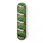 Winning artwork by B. King, Grade 7 skateboards