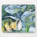 Winning artwork by T. An, Grade 9 mousepads