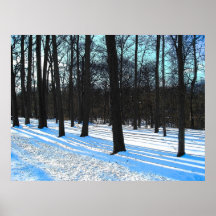 Winter 2 Photo Poster