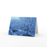 Winter 4 of 7 cards