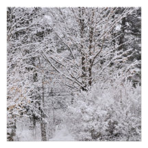 Winter Announcement