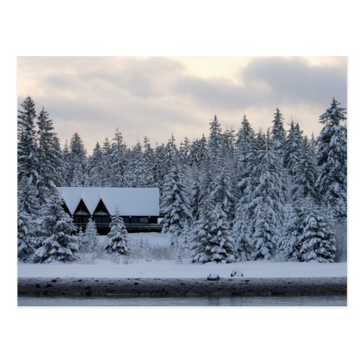 Winter at Glacier Bay National Park Postcards