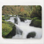 Winter at Golitha Falls Mouse Pad