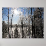 Winter Awe Print