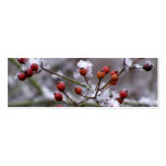Winter Berries Bookmark Business Card