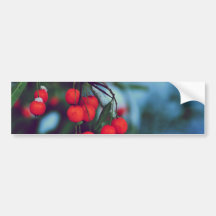 Winter Berries Bumper Sticker